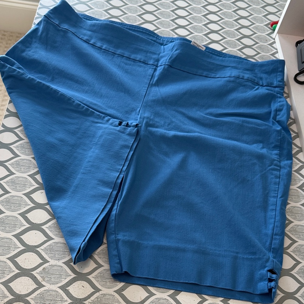 EUC Ruby Rd. Women's Blue Shorts